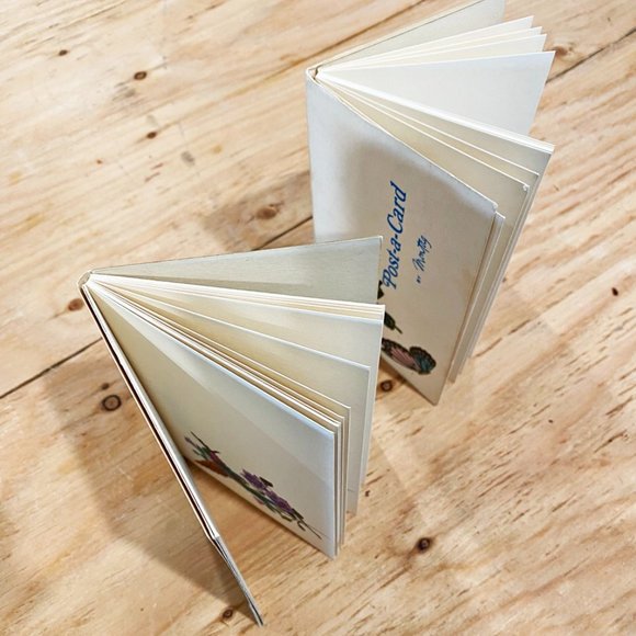 Vintage 1970s 2 Post-a-Card Booklets By Montag Birds Butterflies - Picture 7 of 9